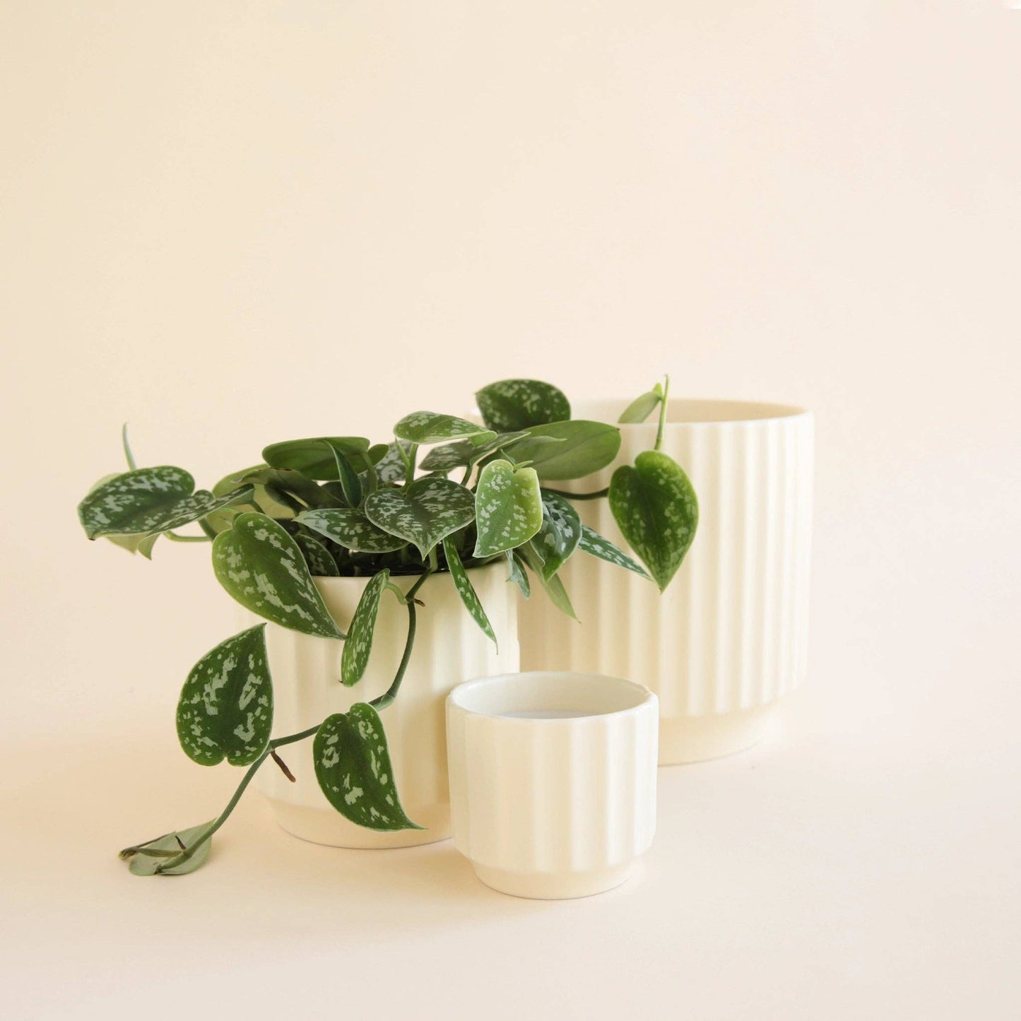 Monroe Pot | Vintage White 6.75" inch