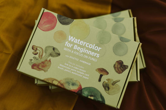 Beginner's Watercolor Art Kit with Video Lesson