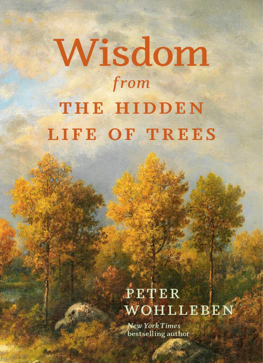 Book - Wisdom from the Hidden Life of Trees